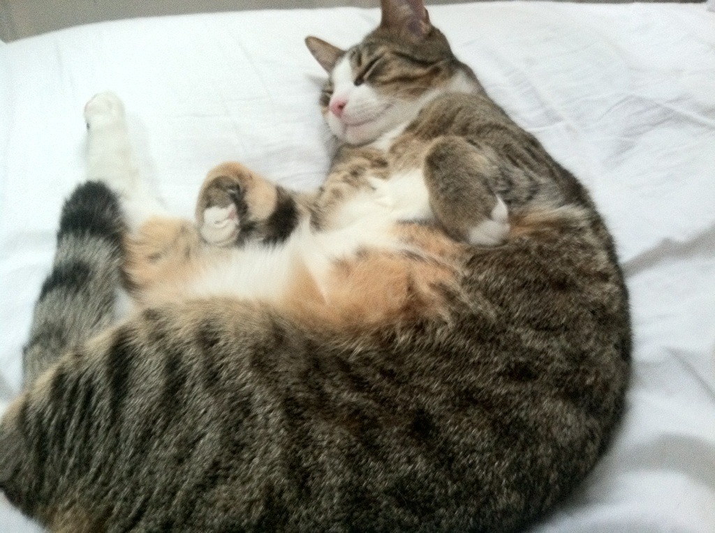 乐鱼体育平台app下载-中超联赛中国青年队爆冷 球迷希望坚持青训路线，中超青训大户