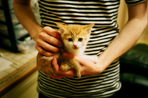 Leyu Sports (乐鱼体育)-五大联赛是否推行以中场站位弹性应对不同对手策略，五大联赛场地大小