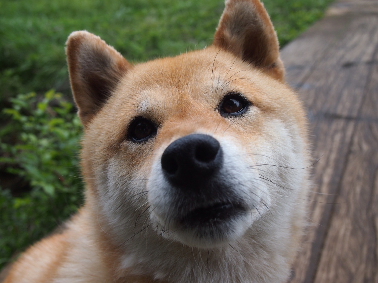 乐鱼（LEYU）体育-国际热身赛中国青年队战胜 球员展现拼搏精神，国际热身赛赛程