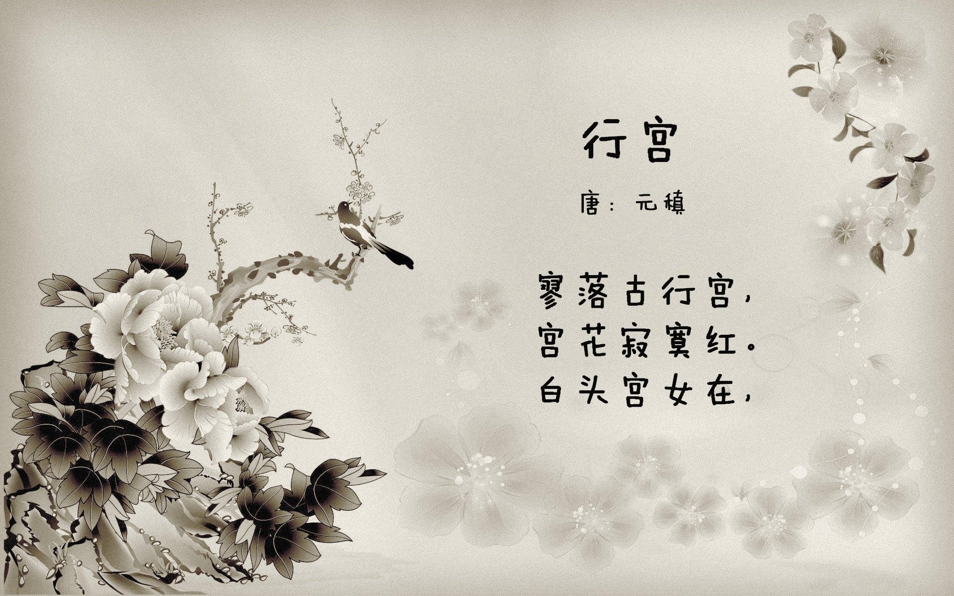 乐鱼电竞在线平台-女子200蝶转身效率成制胜关键，直播_女子200米蝶泳