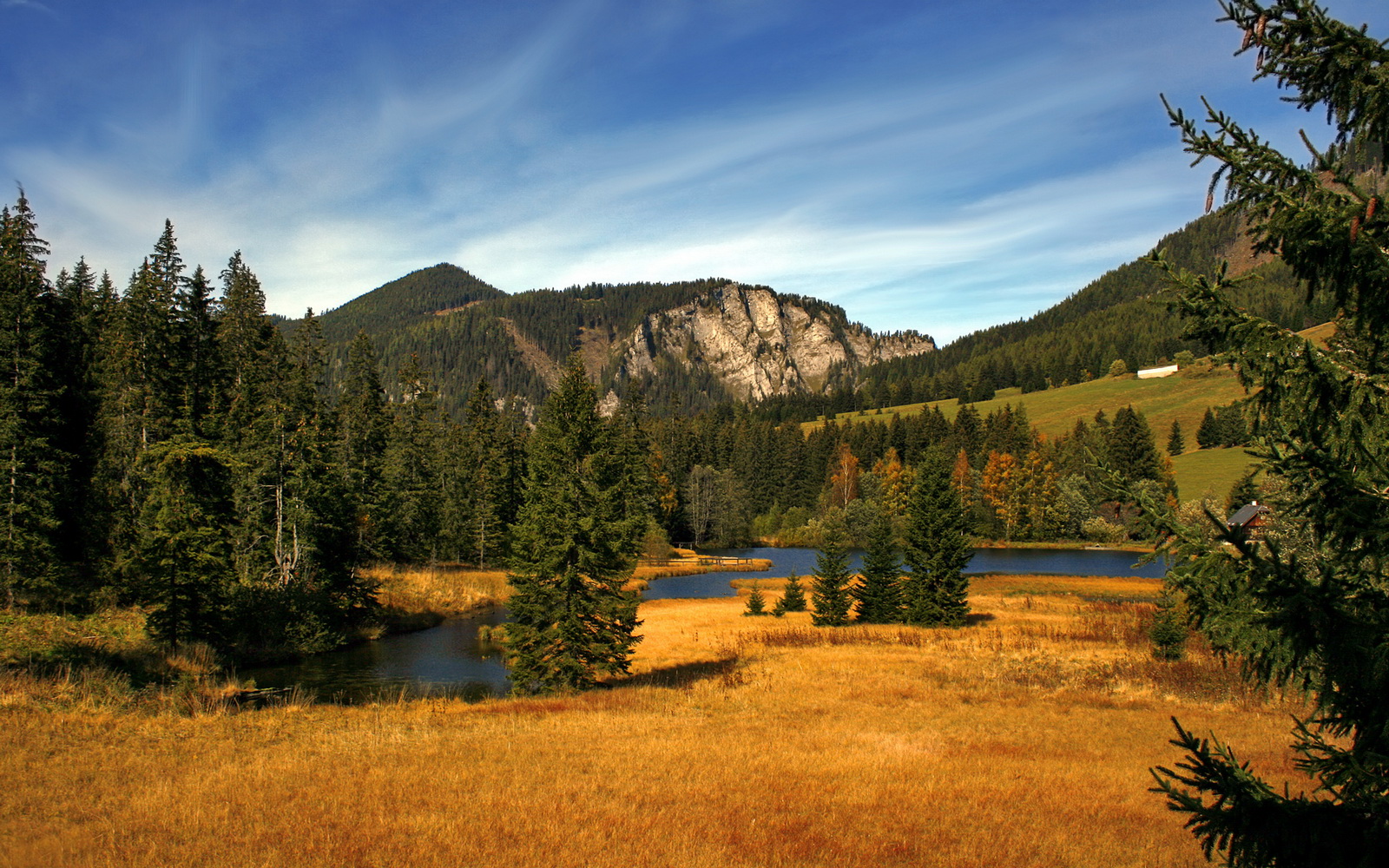 乐鱼体育平台官网-科隆高压逼抢改变比赛走势，科隆 2021