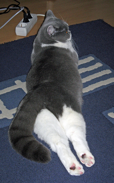 leyu乐鱼在线登录入口-克洛普带领利物浦不断创新,追求历史新高