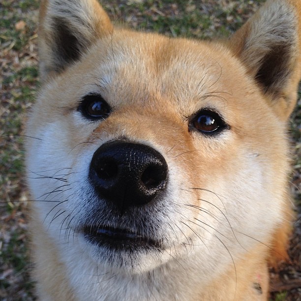 乐鱼(LEYU)体育-凯蒂·莱德基赛场风采尽显冠军风范,凯蒂莱德基训练方案