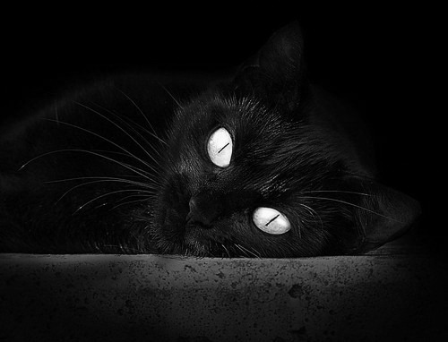 乐鱼电竞在线平台登录入口-女篮国家队注重攻守转换细节提升比赛掌控力,女篮国家队相当于男篮哪个级别