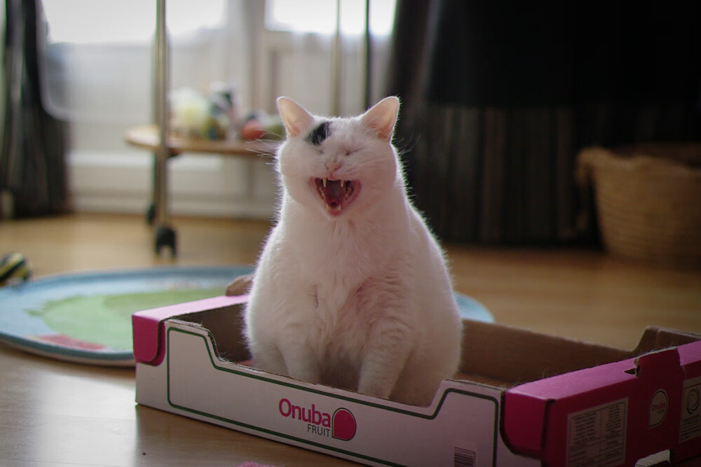 乐鱼体育(中国)官方网站-德甲比赛战况激烈：攻防转变令人屏息，德甲赛制规则