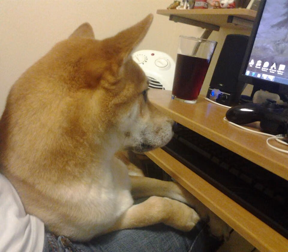 乐鱼体育-教练组应变迅速,临场战术调整果断,教练组应变迅速,临场战术调整果断的原因