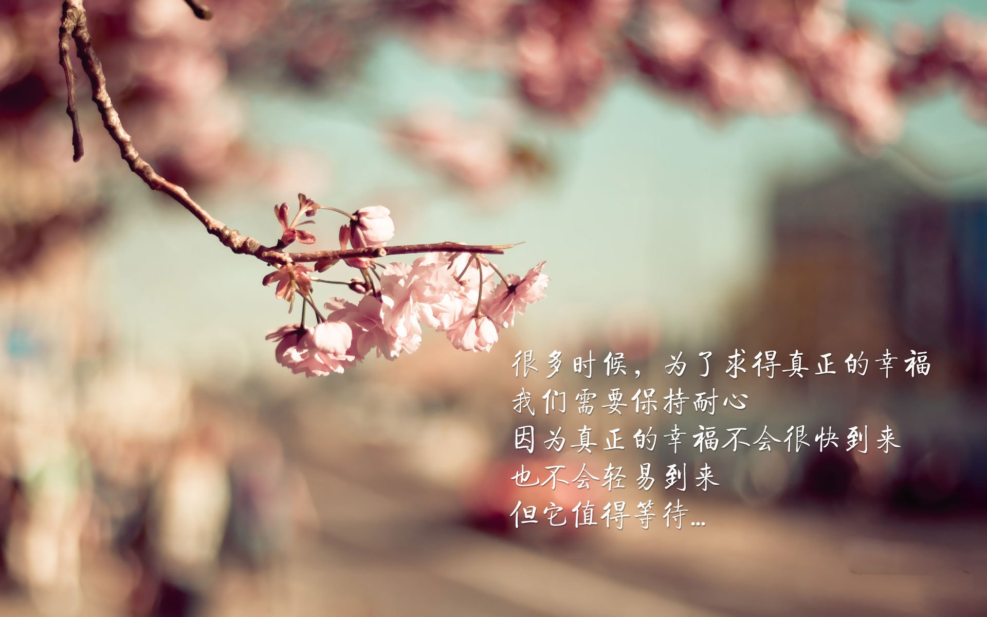 乐鱼体育-格鲁吉亚女篮在欧洲锦标赛中夺取金牌，光荣再续，格鲁吉亚杯篮球