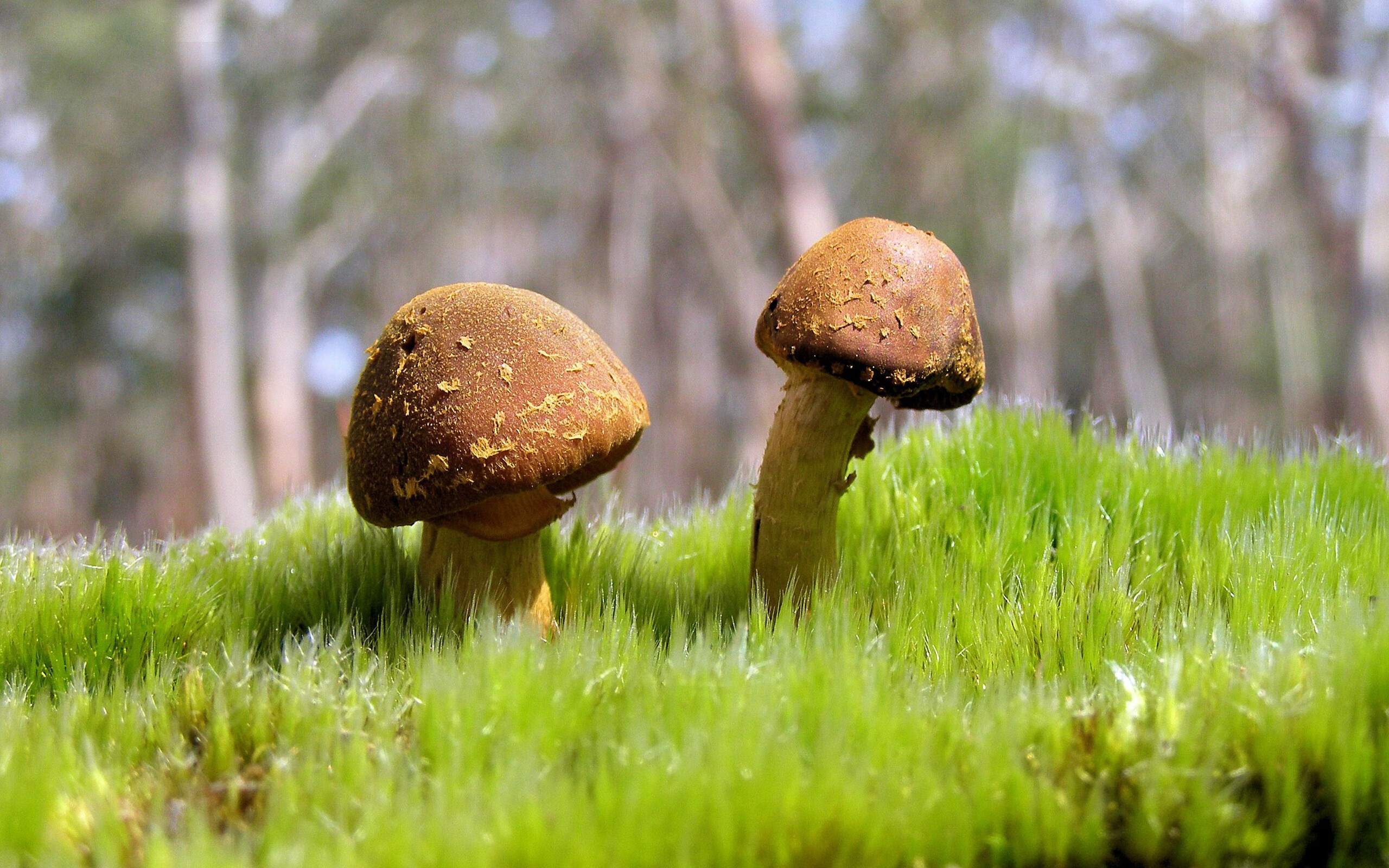 乐鱼体育平台官网-滑行段利用率提升明显，速度加快，滑行距离公式