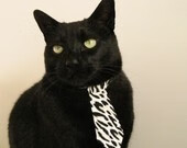 下载乐鱼体育APP-谢佩玲用坚韧精神征服跳水赛场，谢佩岐是谁