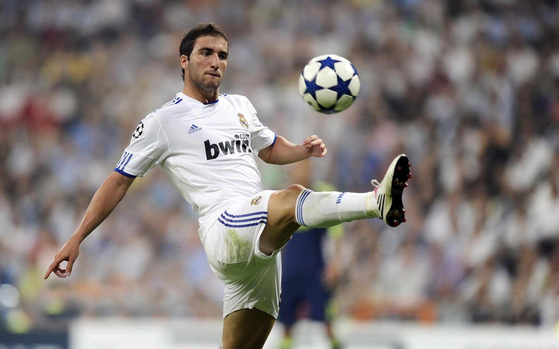 世界杯：官方建议球迷提前2小时到场 现场活动与周边展位排队火爆